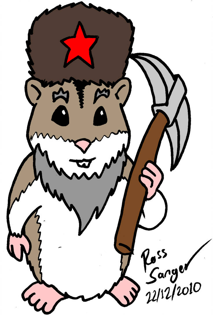 736x1086 Russian Dwarf Hamster