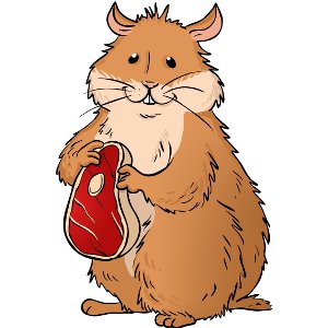 300x300 Can Hamsters Swim And Do They Like Swimming The Hamster House