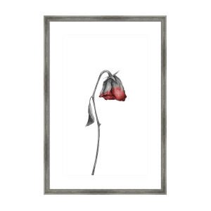 300x300 Peace Doesn't Live Long Poster Framed Print