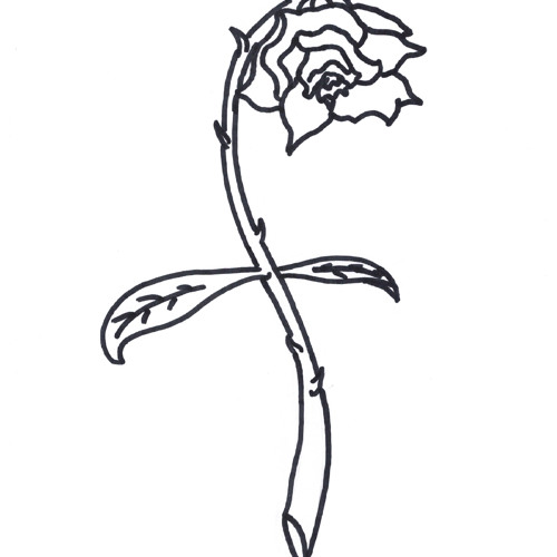 500x500 Funeral Rose Dead And Dying