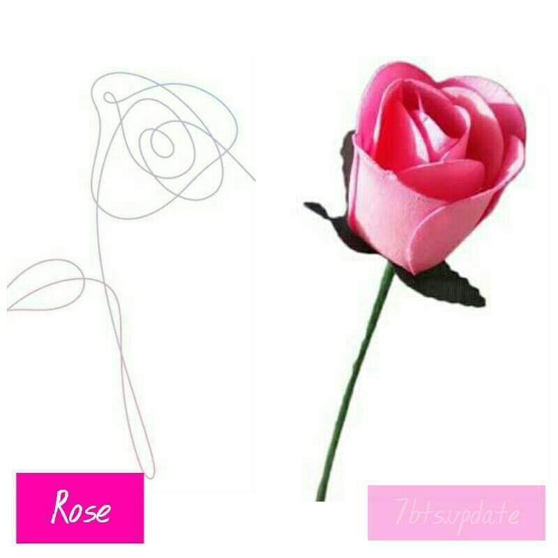 800x800 The Meaning Of Flowers In 'love Army's Amino