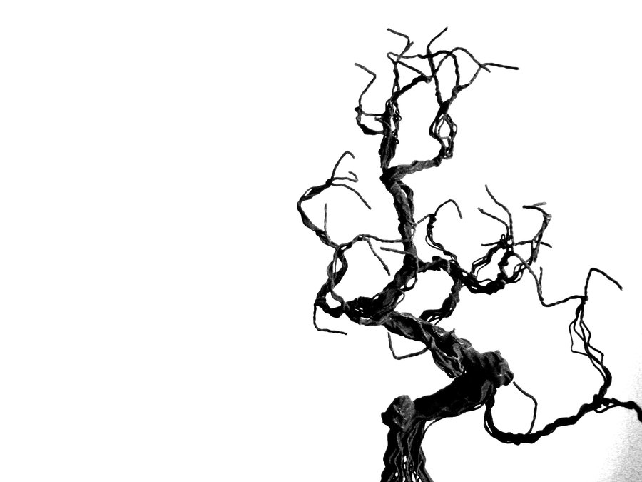 Dying Tree Drawing