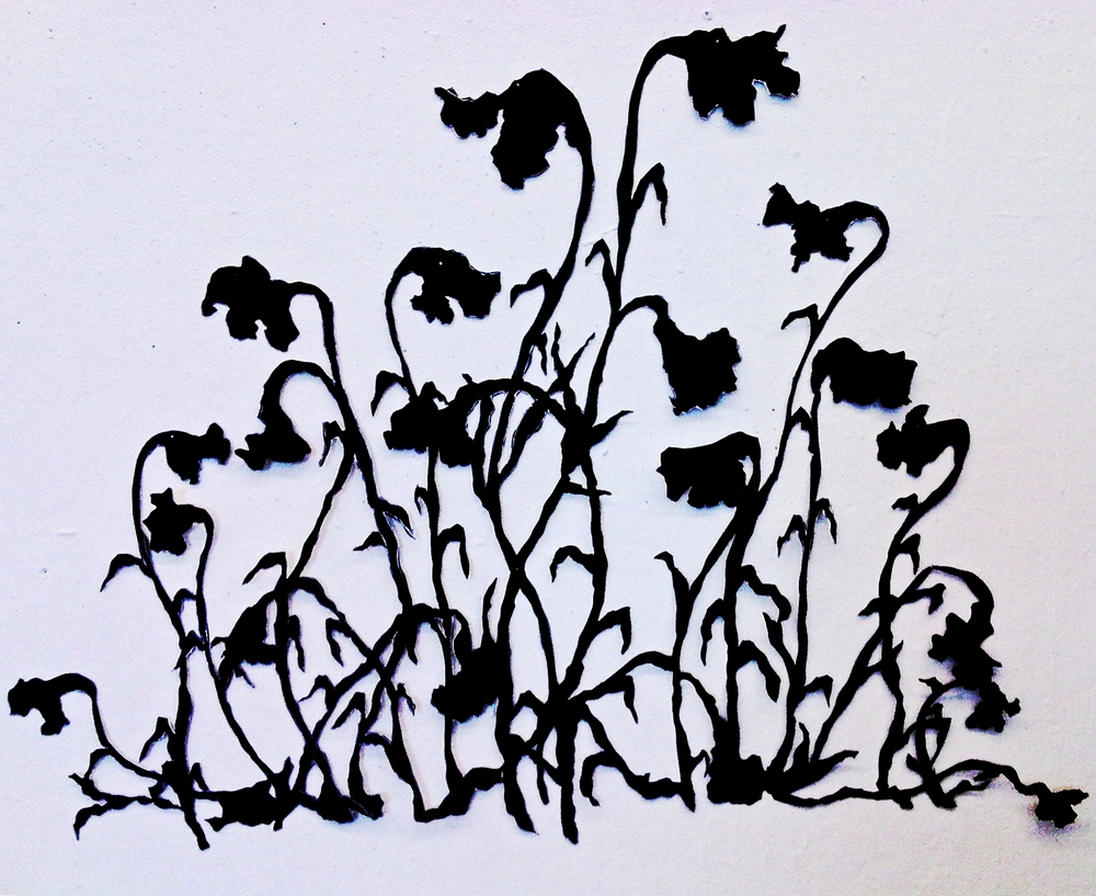 1000x817 Dying Flowers Jazmine Hayes