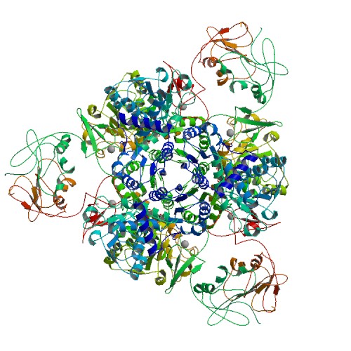 500x500 rcsb pdb