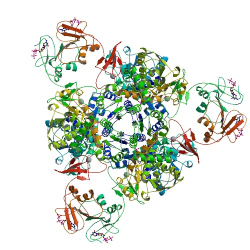 500x500 rcsb pdb