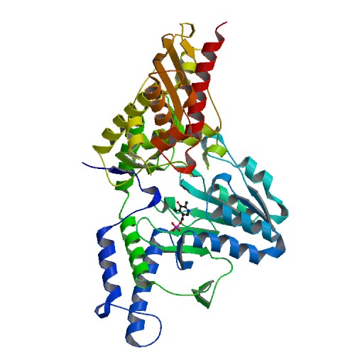 500x500 rcsb pdb