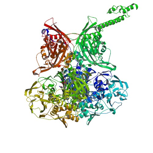 500x500 rcsb pdb