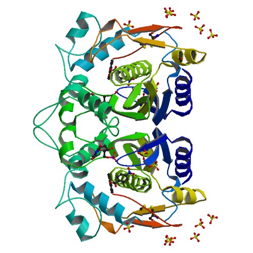 500x500 rcsb pdb