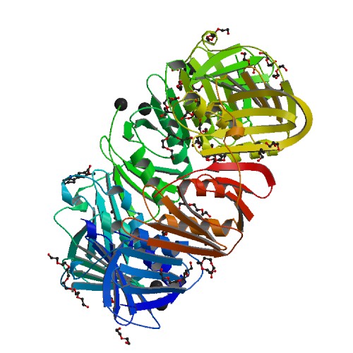 500x500 rcsb pdb