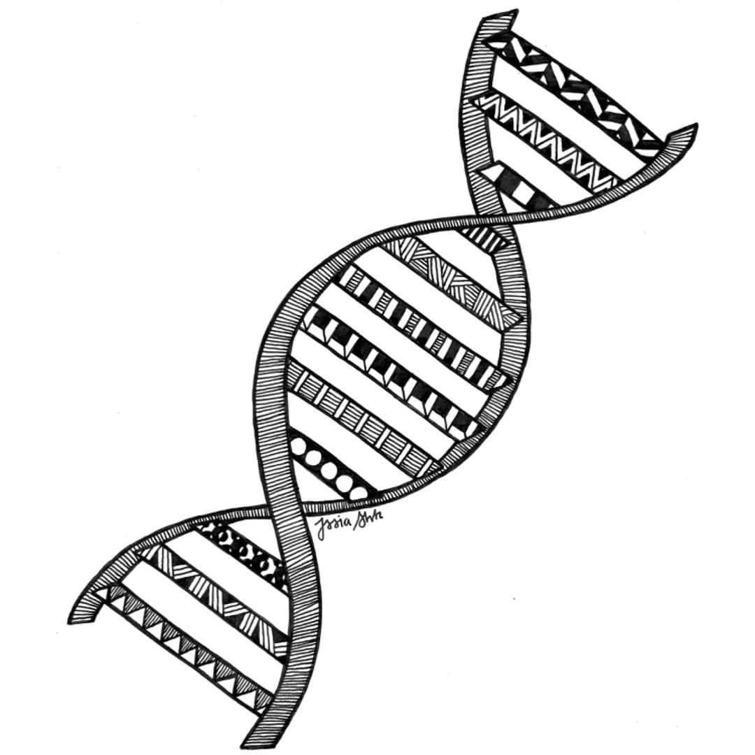 1080x1080 Dna Drawing Free Download