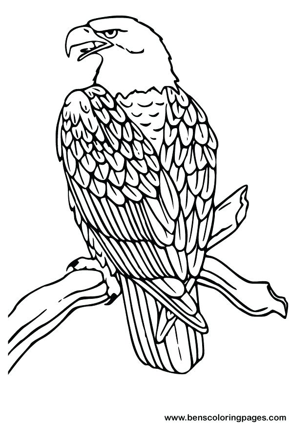 596x873 Coloring Pages Coloring Pages Bald Eagle And Us Flag