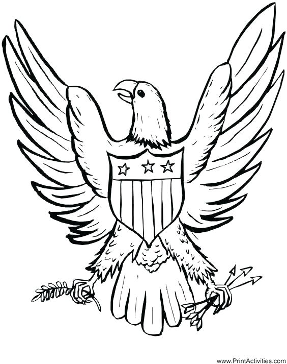 564x713 Eagles Coloring