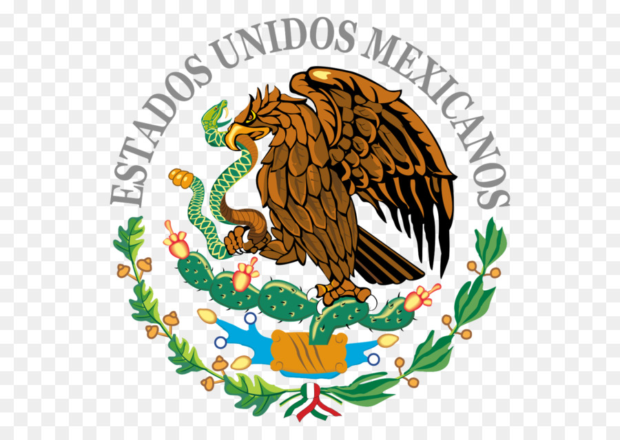 900x640 Mex Flag, Drawing, Transparent Png Image Clipart Free Download