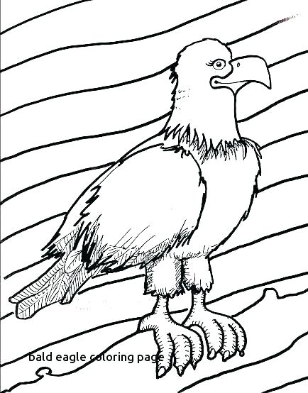 434x554 Bald Eagle Coloring