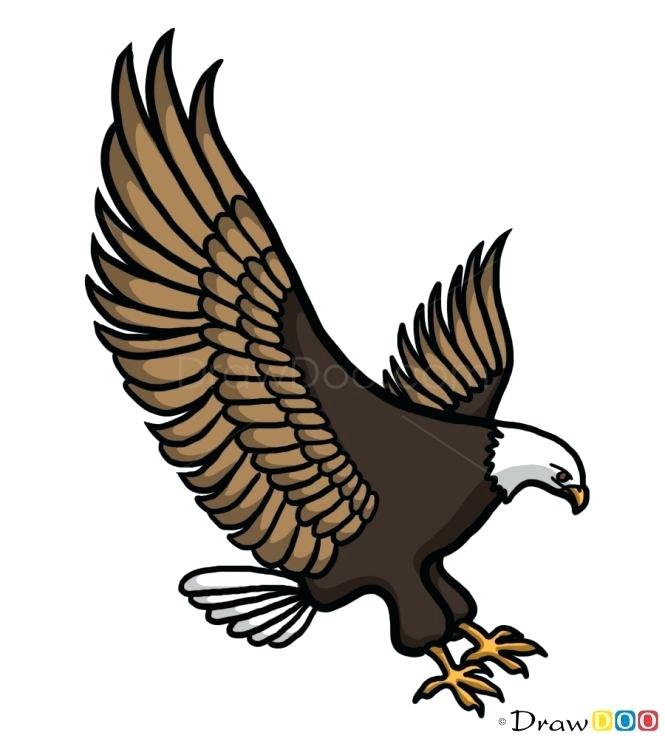665x738 Eagle Easy To Draw