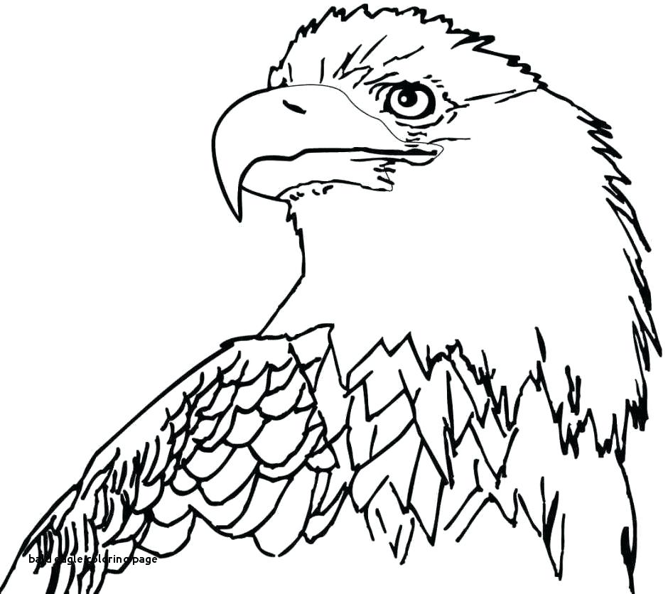 940x836 Bald Eagle Coloring