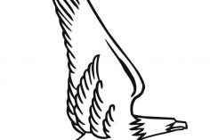 236x157 Bald Eagle Drawing Easy Sketches American Flag Color Outline Free