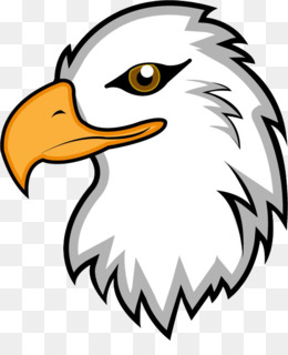 260x320 Bald Eagle Png