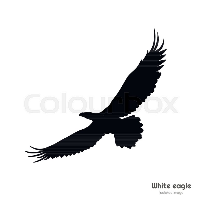 800x800 Black Silhouette Of White Eagle Stock Vector Colourbox