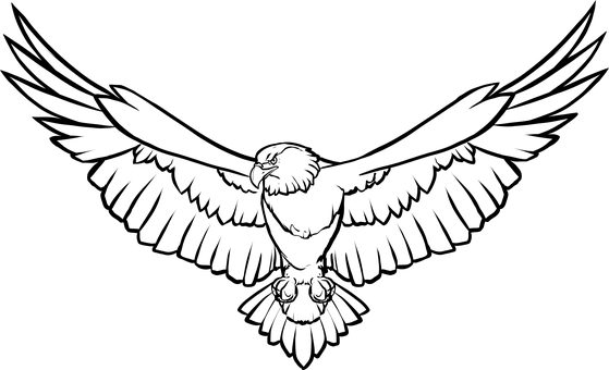 559x340 Awesome Free Eagle Bird Vectors