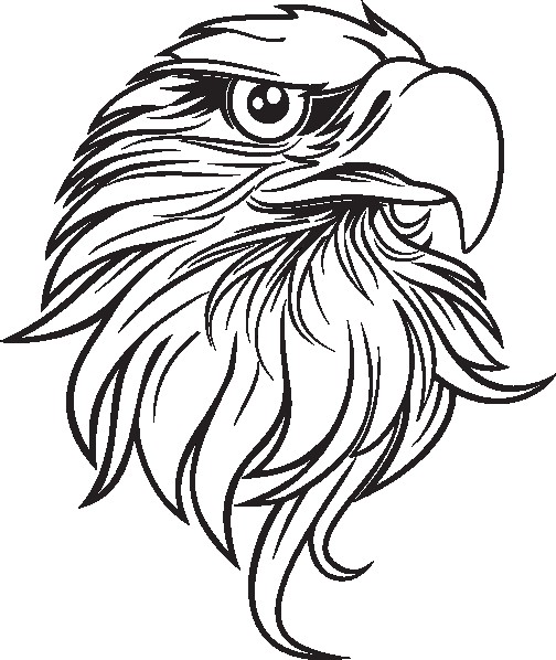 504x598 How Draw Bald Eagle Clipart Best Beautiful Black And White Cartoon
