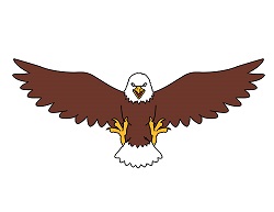 250x193 How To Draw A Bald Eagle