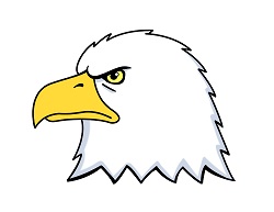 250x193 How To Draw A Bald Eagle Head