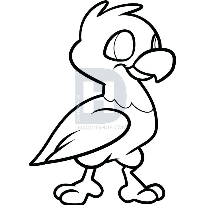 720x720 Eagle Easy To Draw