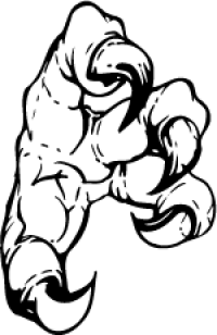 200x308 Eagle Claws Drawing