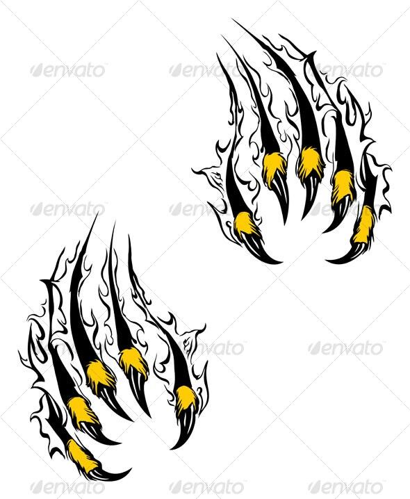 590x718 tatoo bear claw tattoo, tiger claw tattoo
