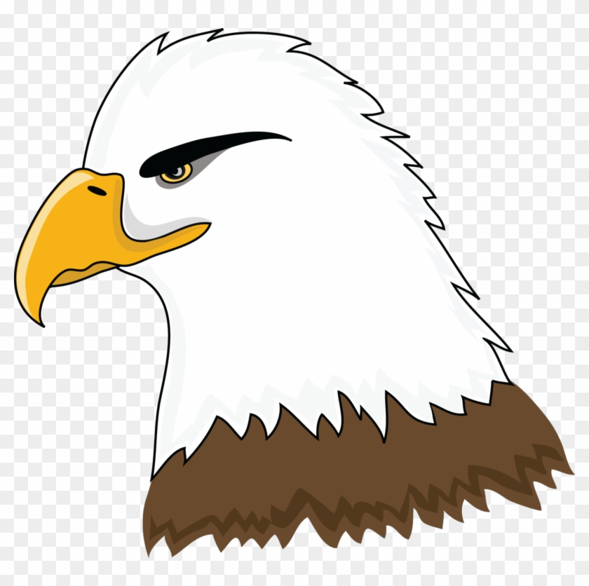 840x836 Drawing Eagles Cute