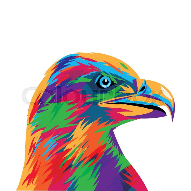 800x800 Flat Design Colorful Eagle Drawing Stock Vector Colourbox