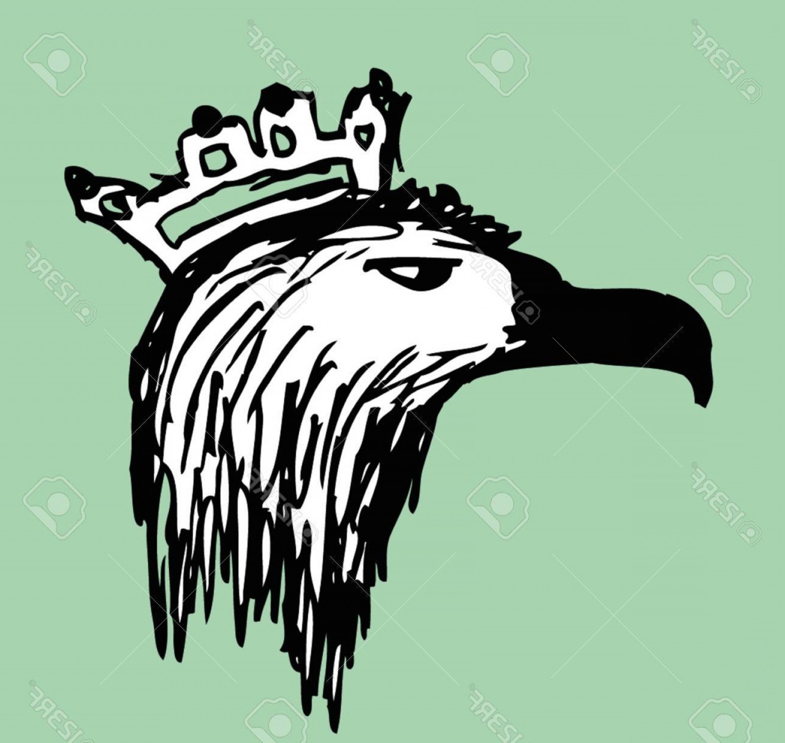 1560x1477 Photohand Drawing Eagle Head Vector Art Soidergi