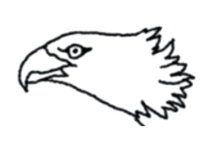 750x500 How To Draw An Eagle