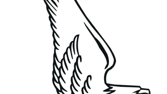570x320 bald eagle outline bird of prey bald eagle outline drawing