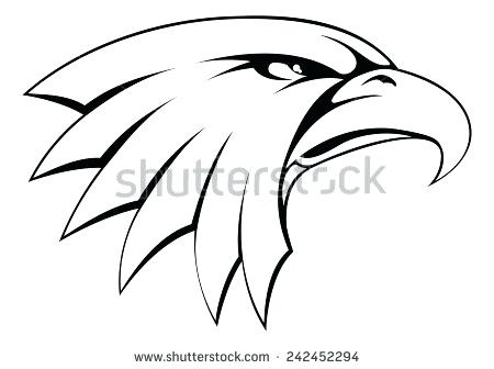450x336 Bald Eagle Drawing Step