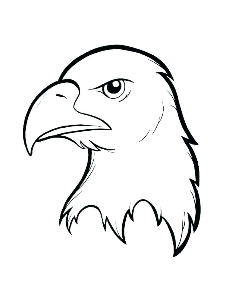 750x1000 Coloring Pages Eagle Bald Color