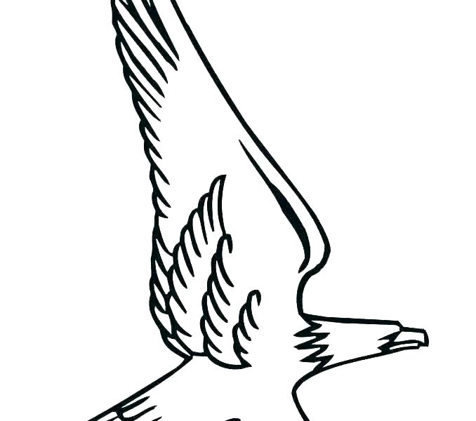 678x600 Coloring Pageseagle Bald Eagle Coloring