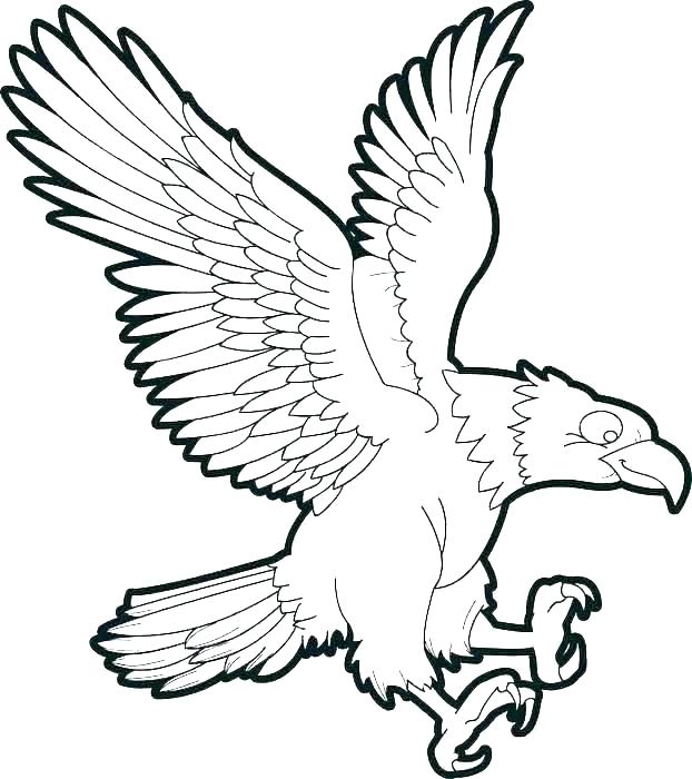 622x700 Eagles Coloring Pages Falcons Logo