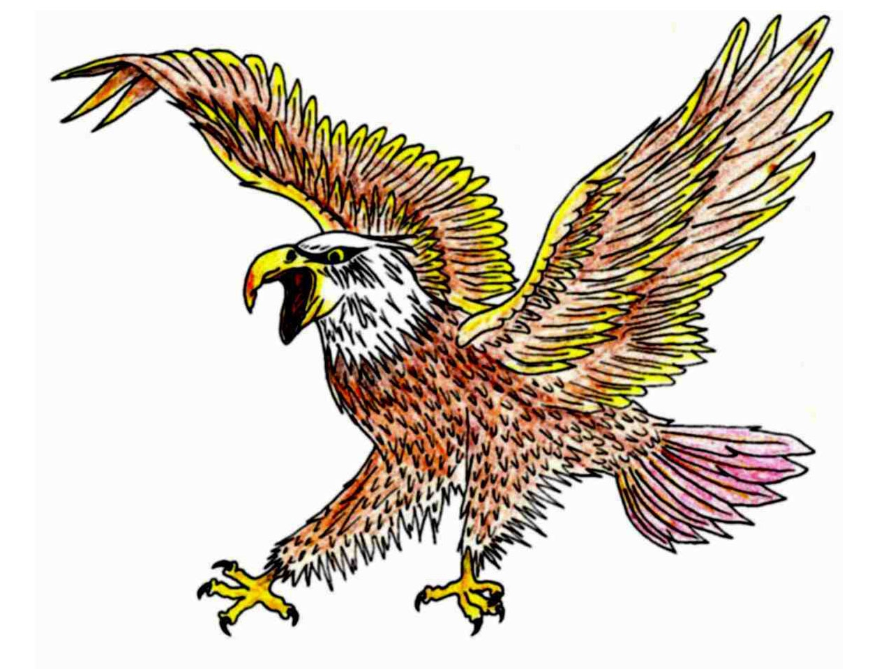 1280x960 Multi Color Mad Eagle Tattoo Design Tattoo Ideas