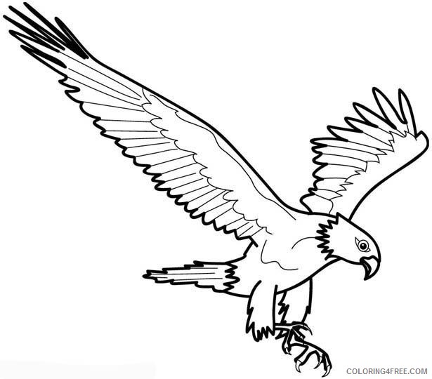 615x540 Eagle Coloring Pages Pouncing