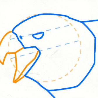 336x336 Bald Eagle Drawing Color Step