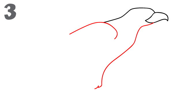 642x363 How To Draw An Eagle