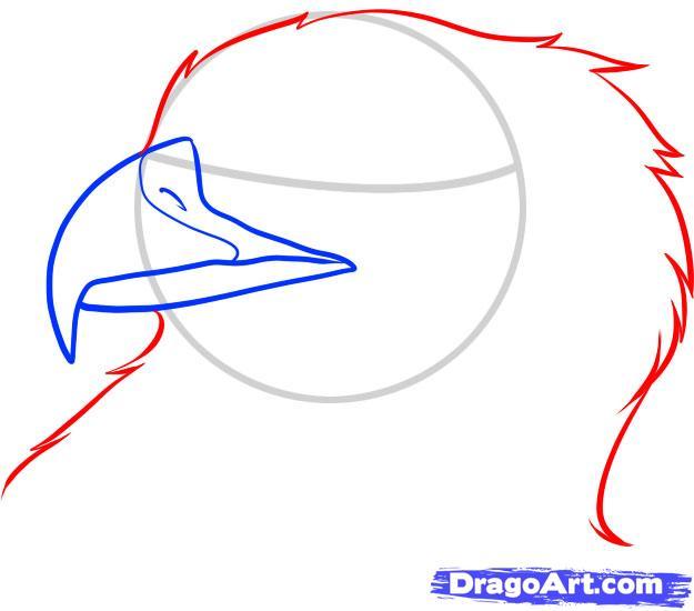 625x550 Mexico Flag Eagle Drawing Easy