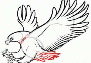 300x210 Simple Steps To Draw Eagle Drawing Easy Eagle Spladdle