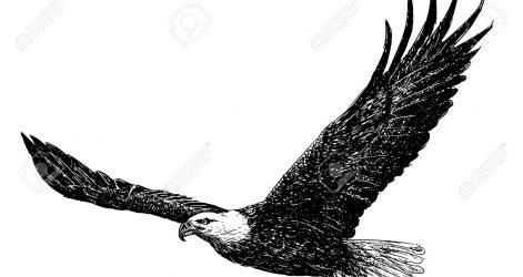 471x250 Bald Eagle Drawing Easy Sketches Line Pictures American Flag