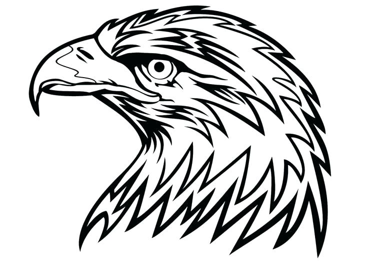 750x531 Coloring Pages To Print For Adults Animals Disney Moana Bald Eagle