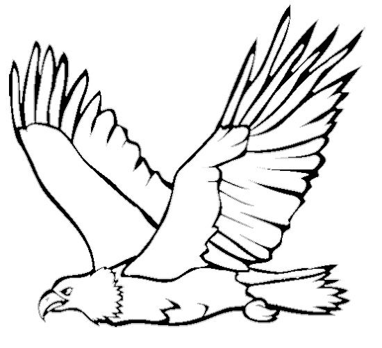 550x501 Eagle Coloring