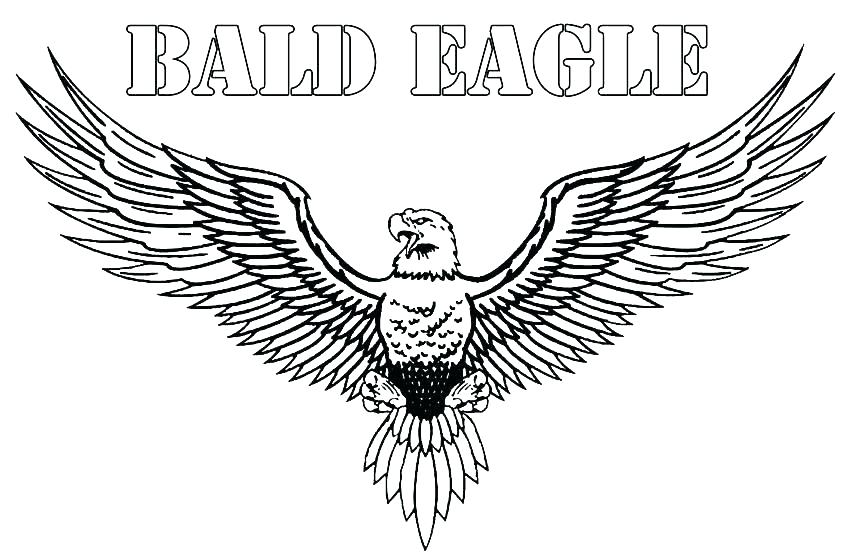 850x555 Eagle Coloring Sheet Best Printable Eagle Coloring Pages For Kids