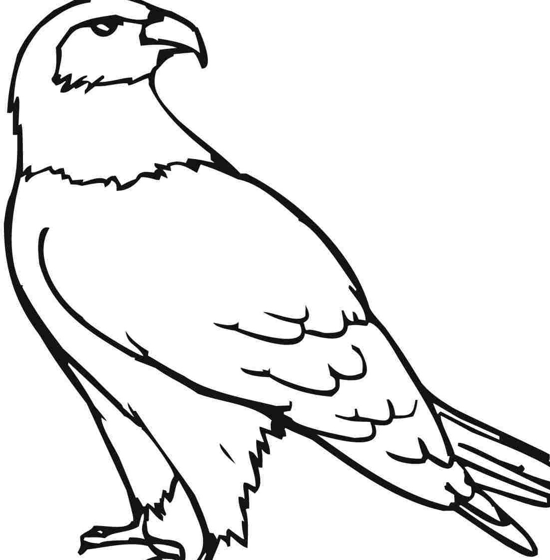 Eagle Drawing For Kids | Free download on ClipArtMag